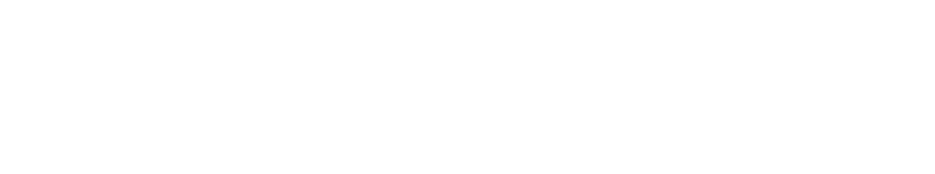 savING GmbH